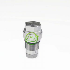 Made in China new Common Rail Nut PRV 4384241 4384241-04  438424104
