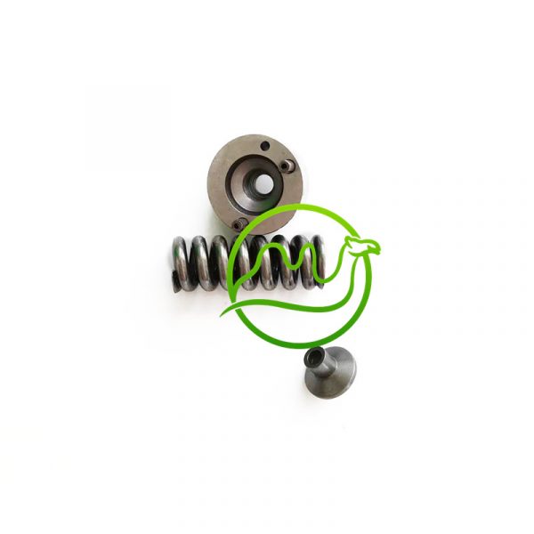 Injector repair kits 2430136206 2430136212 2433124376 IN stock