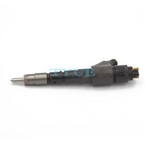 Hot Sale High Quality Common Rail Fuel Injector  6110701487