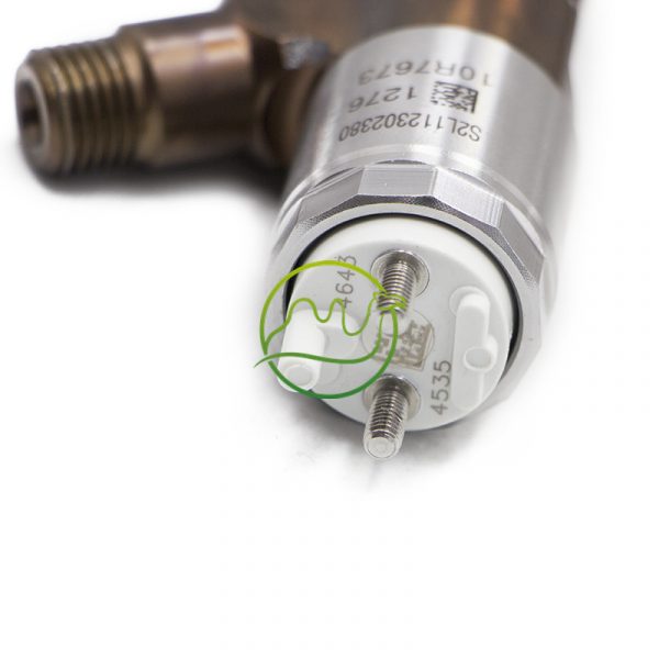 Common rail  injector 10R7673 10R-7673 FOR CAT  C6.6 - 图片 4