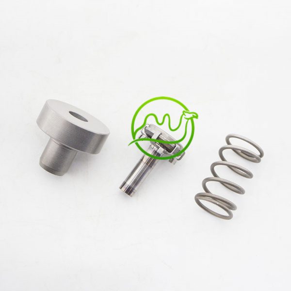 High-pressure plunger with dismantling quality F01M101349 For CP1 Pump - 图片 2