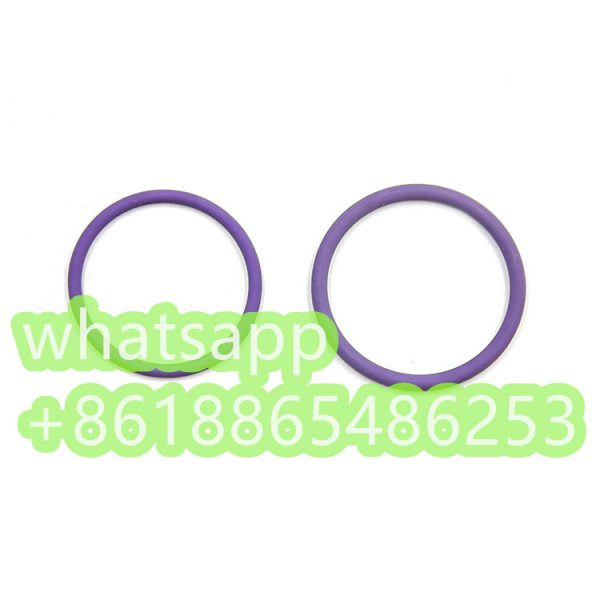 O-rings 7200-0053 7200-0054 402686 FOR injector 20440388 - 图片 4