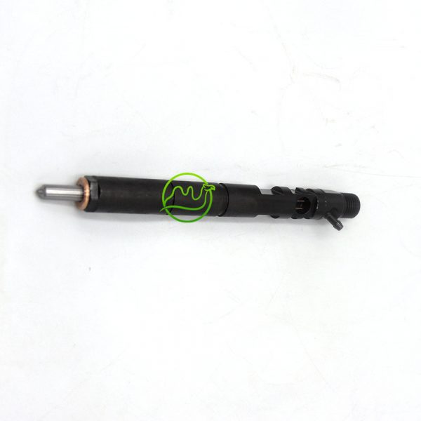 Fuel Injector EJBR01701Z 8200365186 EJBR02101Z For RENAULT FORD NISSAN Euro 3/4 - 图片 4
