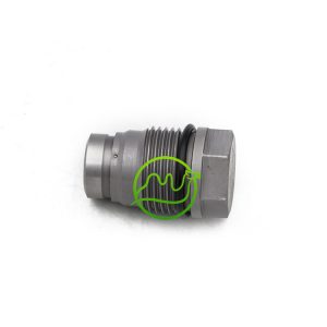 High Quality Pressure Relief Valve Pressure Limting Valve  1110010028 1 110 010 028