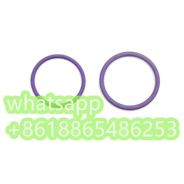 O-rings 7200-0053 7200-0054 402686 FOR injector 20440388 - 图片 2