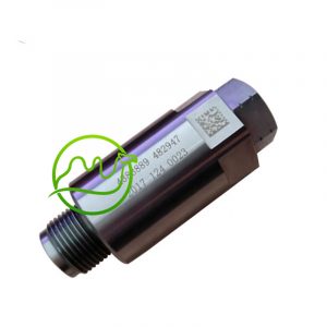 Pressure Relief Valve 4383889 482947 Fit for Cum-mins