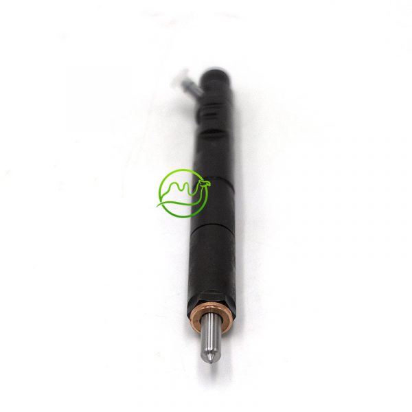 Fuel Injector EJBR01701Z 8200365186 EJBR02101Z For RENAULT FORD NISSAN Euro 3/4 - 图片 2