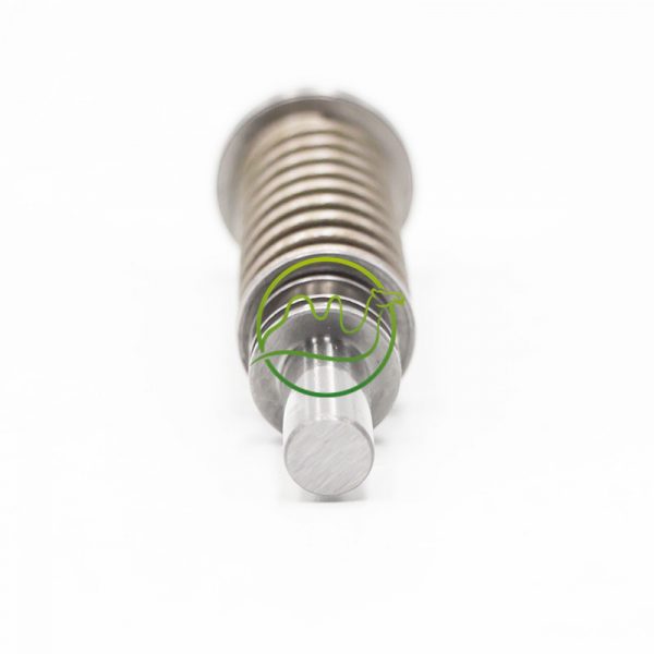 Hot Selling Diesel Engine Pump Plunger 1P6400 1W3010 1W6541 - 图片 4