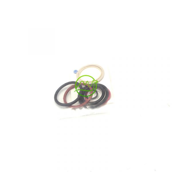 Fuel Injector Repair Kit O-Ring 2974841 297-4841 Repair Kit E1024111 For C7 C9 C-9 - 图片 4